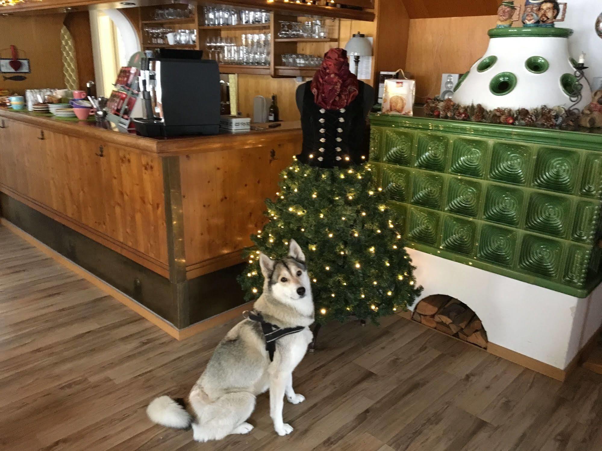 Hotel Pension Schwansee シュヴァンガウ エクステリア 写真
