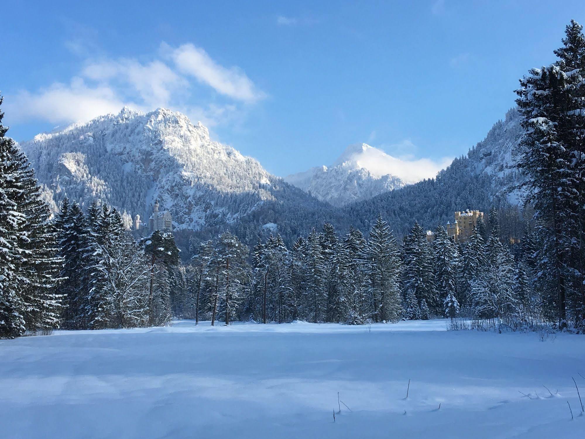 Hotel Pension Schwansee シュヴァンガウ エクステリア 写真